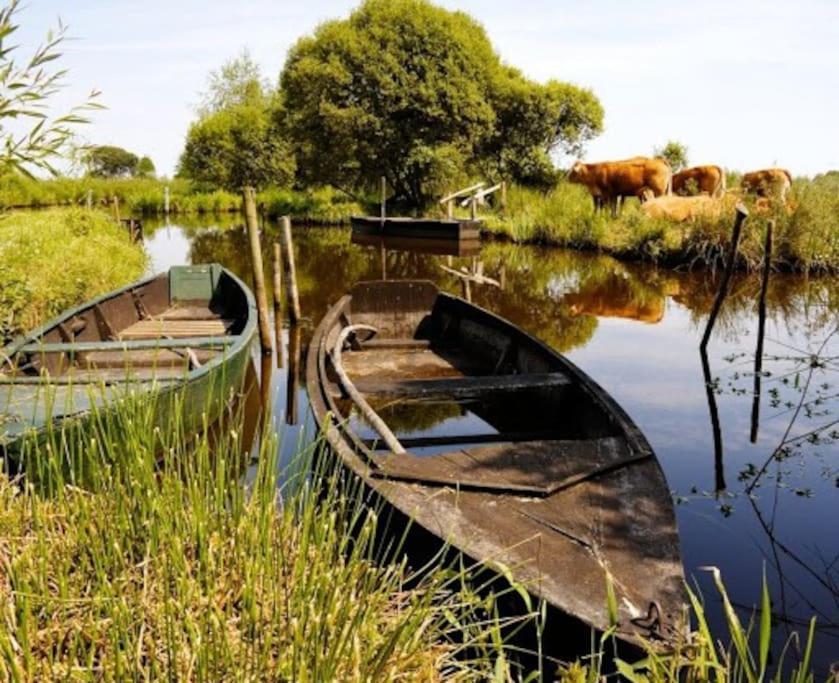 Petit Appartement A La Campagne Proche Mer Missillac Exteriér fotografie
